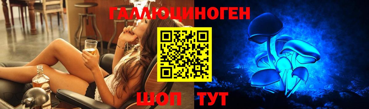 хочу   Галлюциногенные грибы Psilocybine cubensis  Воронеж  Вход с VPN  Псилоцибиновые грибы прущие грибы 